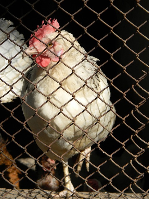 闻媒体的发 闻媒体的发